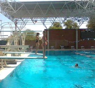 A little kid on the diving board